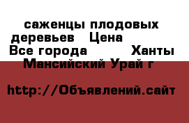 саженцы плодовых деревьев › Цена ­ 6 080 - Все города  »    . Ханты-Мансийский,Урай г.